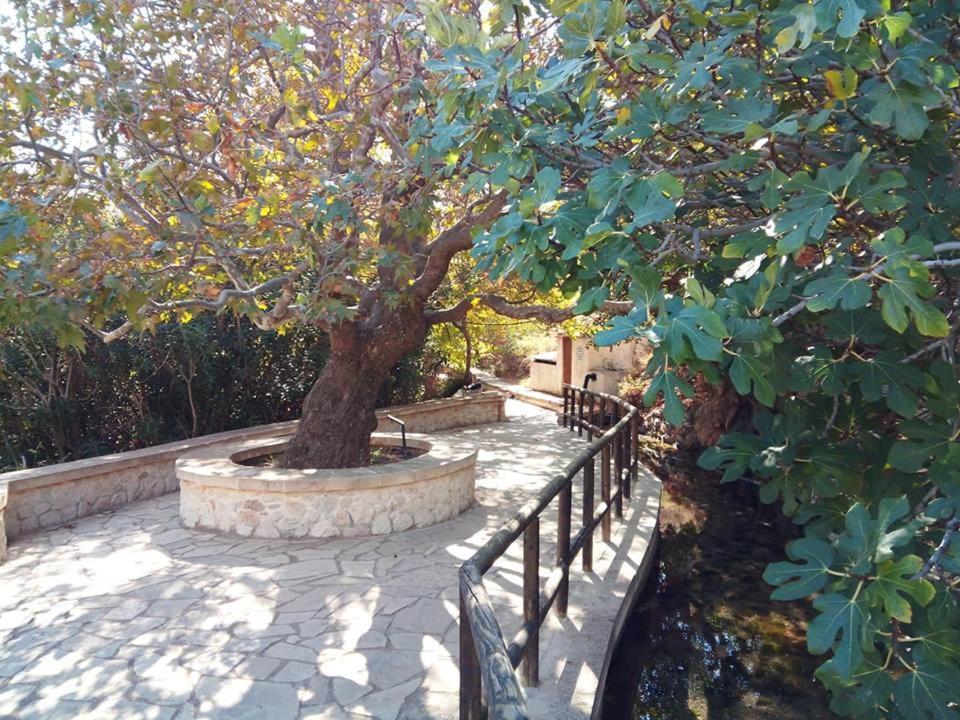 Dimitra Apartments Zakros City Εξωτερικό φωτογραφία
